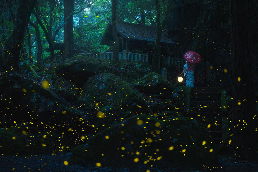 Night Photograph - Japanese Kimono And Sea Of Fireflies #2 by Vu Van Quan