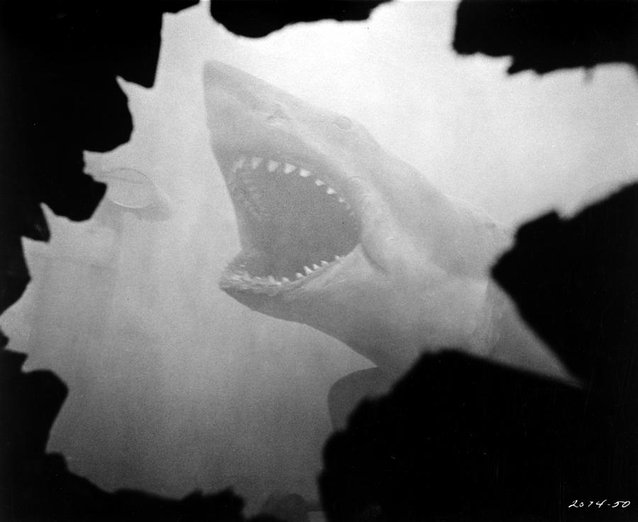Jaws Photograph - Jaws #2 by Movie Star News