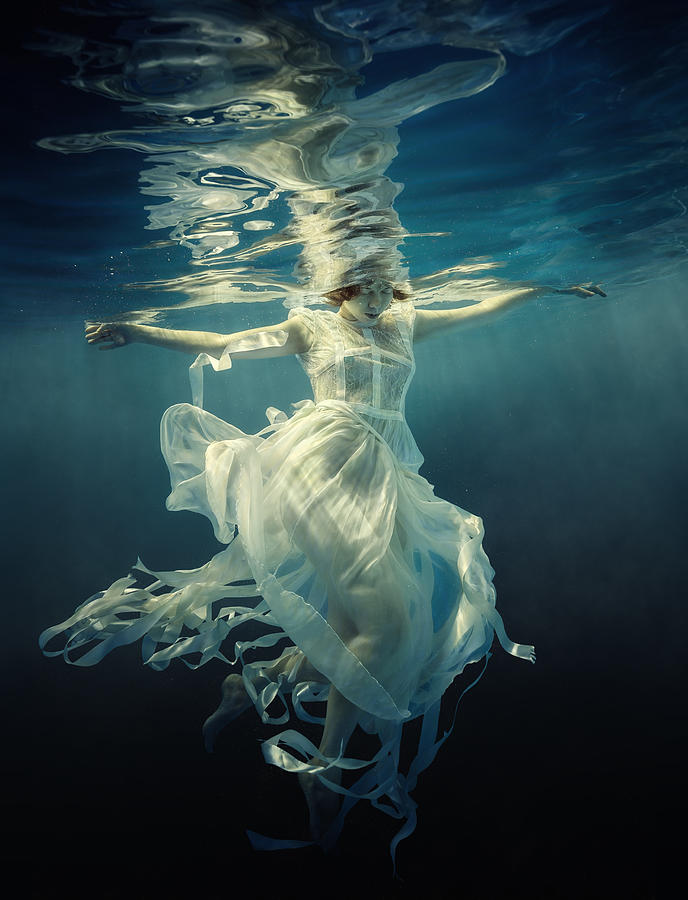 Jellyfish Photograph by Dmitry Laudin - Fine Art America