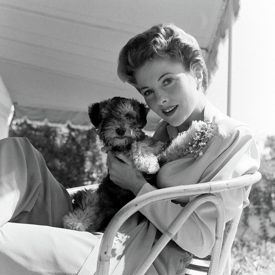 Joan Fontaine And Pet Dog Photograph by Bob Landry