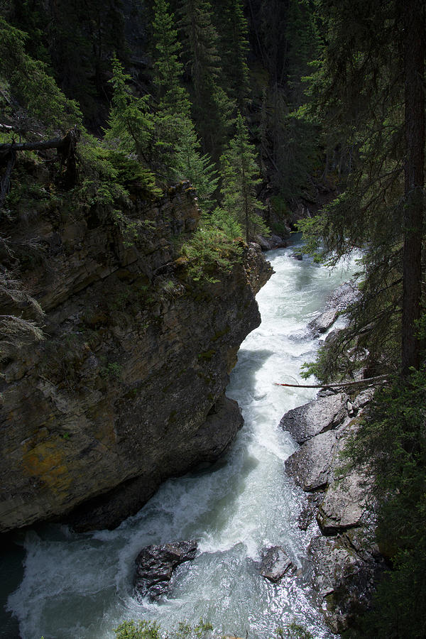 Johnston Canyon Digital Art by Carol Ailles - Fine Art America