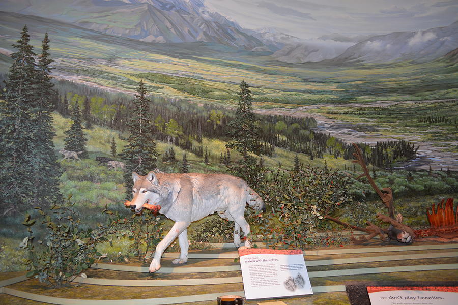 Juneau Visitor Center Photograph by Joe Smiga Juneau Visitor Center Photograph by Joe Smiga