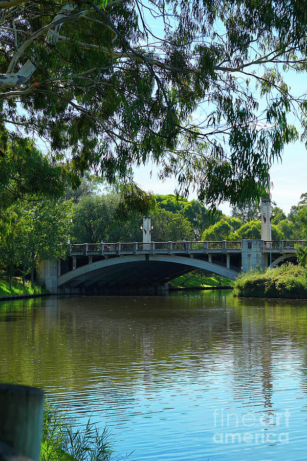 King William Road Bridge, Adelaide, South Australia. #2 Photograph by Milleflore Images