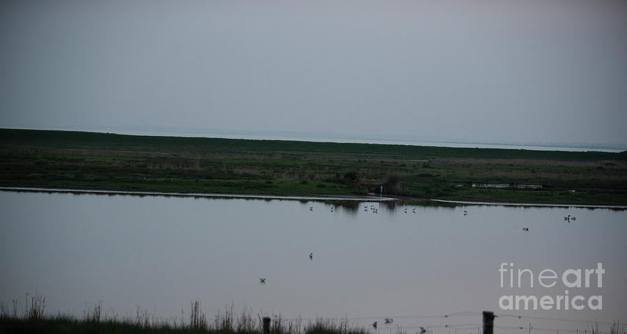 Lagoon by Jenny Potter Lagoon by Jenny Potter