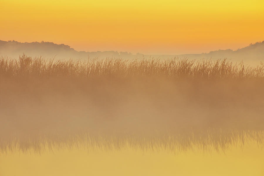 Landscape With Morning Mist #2 Photograph by Raimund Linke