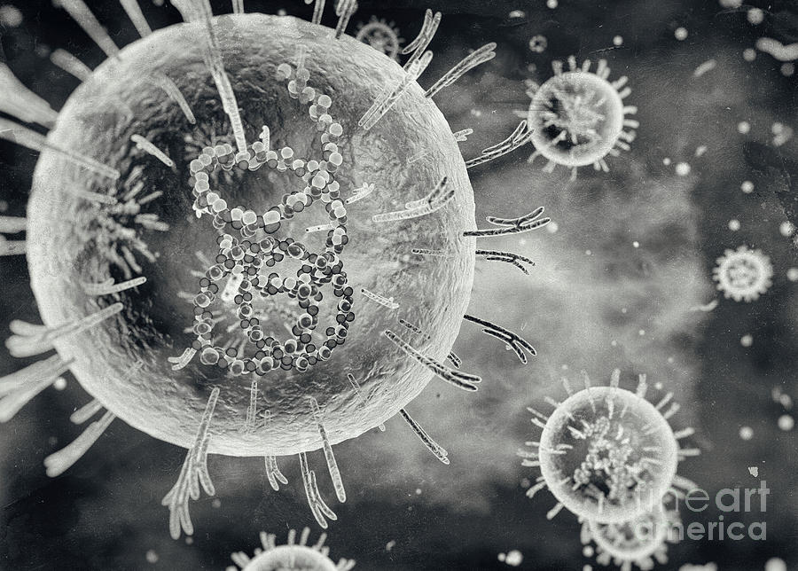 Lassa Virus #2 by Science Photo Library