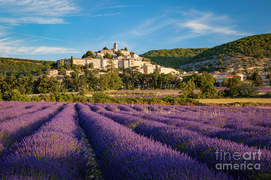 Lavender Field Below Banon by Brian Jannsen Lavender Field Below Banon by Brian Jannsen