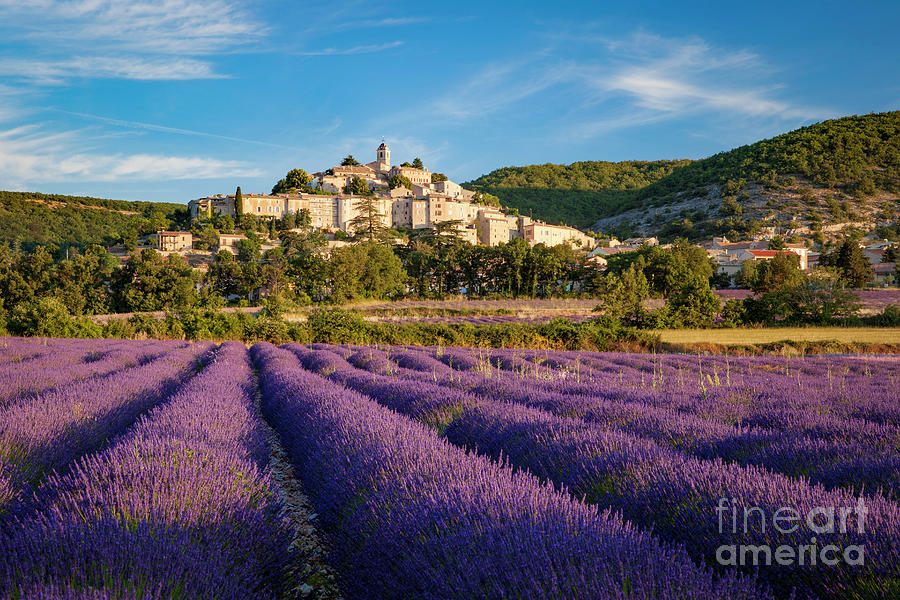 Lavender Field Below Banon Photograph