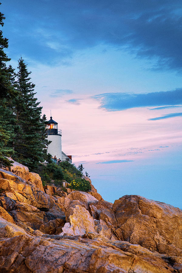 Acadia National Park Digital Art - Lighthouse, Bass Harbor, Maine #2 by Claudia Uripos