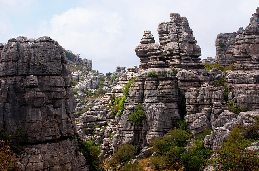 Limestone Rocks Of El Torcal #2 Photograph by Mark Williamson
