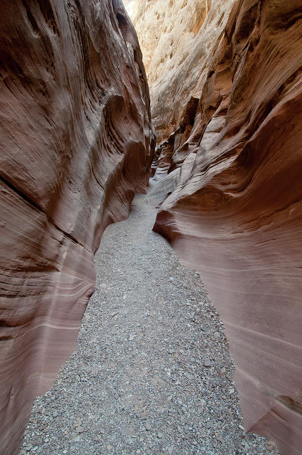 Little Wildhorse Canyon #2 Photograph by William Mullins