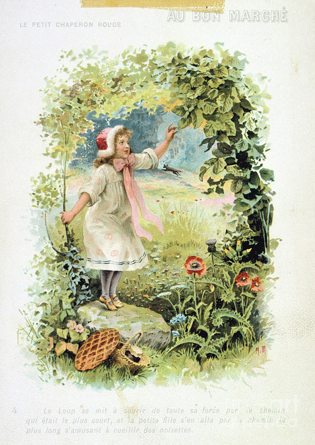 Nature Drawing - Litttle Red Riding Hood, 19th Century #2 by Print Collector