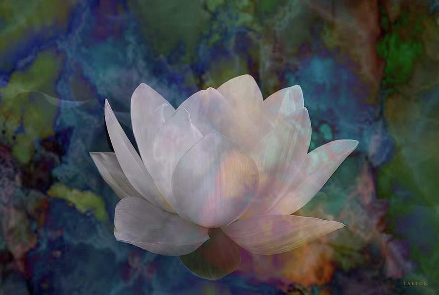 Lotus Light #2 Digital Art by Richard Laeton