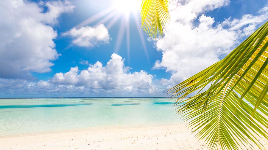 Paradise Photograph - Luxury On Beach. Amazing Seascape, Palm #2 by Levente Bodo