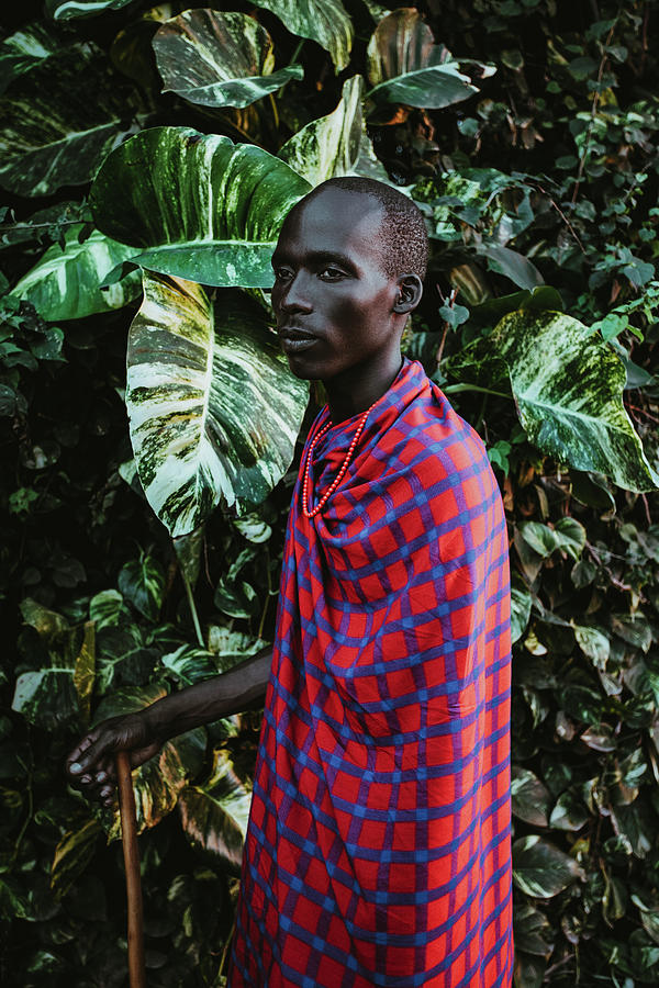 Maasai Man In Traditional Clothes Standing In Front Of Green Leaves ...