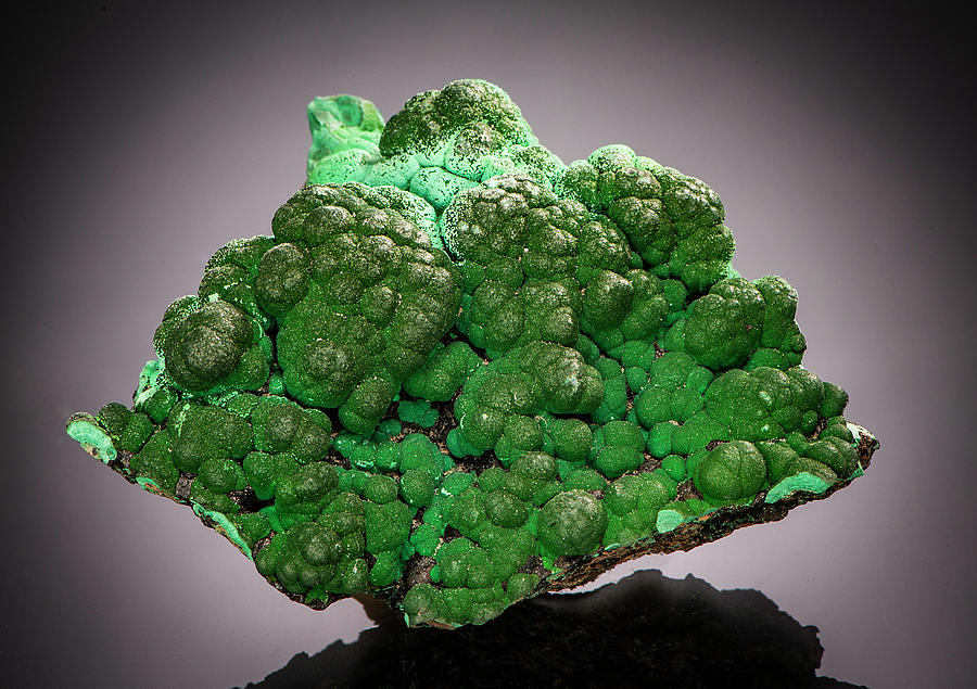 Malachite #2 Photograph by Charles Winters