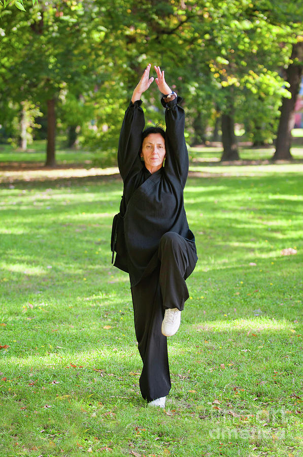 Martial Arts Practice Photograph by Microgen Images/science Photo ...