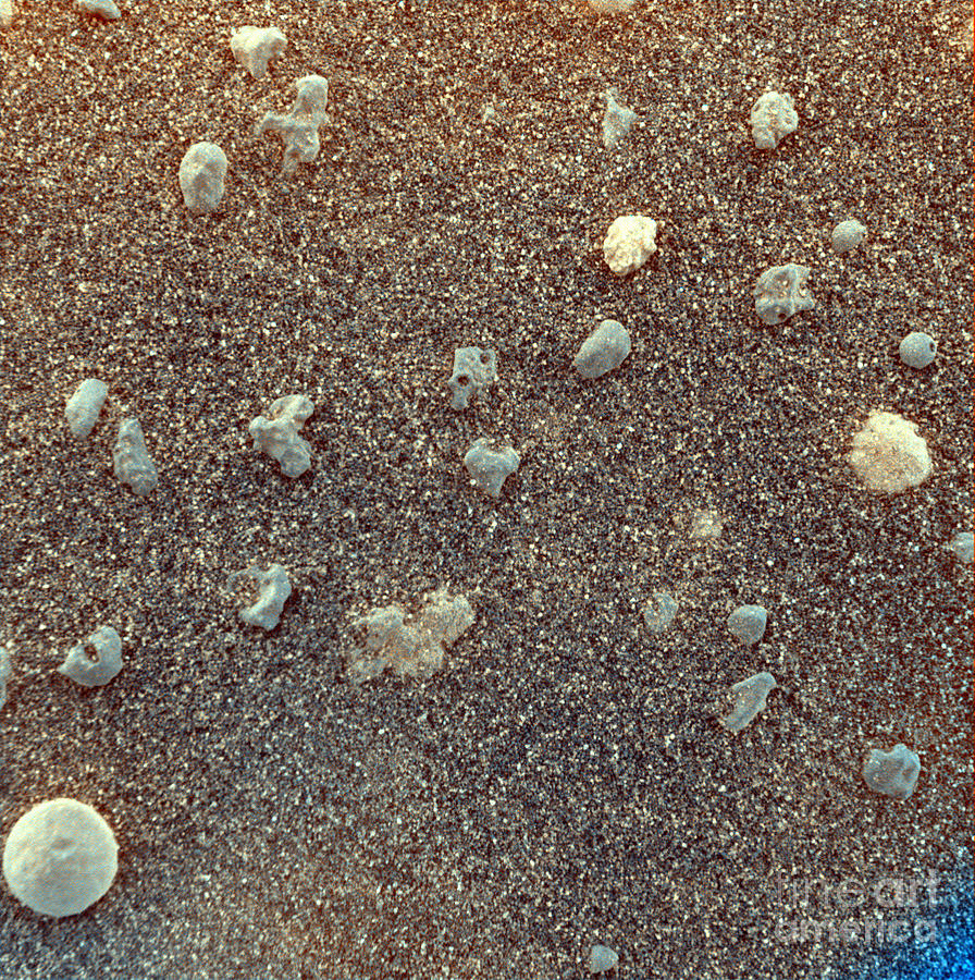 Martian Soil #2 Photograph by Nasa/jpl/us Geological Survey/science Photo Library
