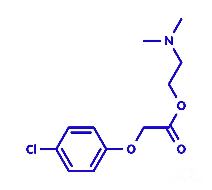 Meclofenoxate Nootropic Molecule #2 Photograph by Molekuul/science Photo Library