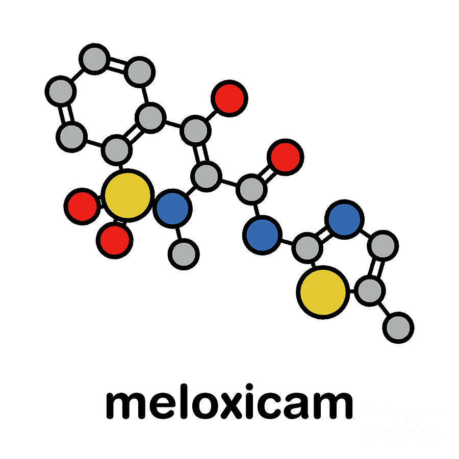 Meloxicam Nsaid Drug Molecule #2 Photograph by Molekuul/science Photo Library