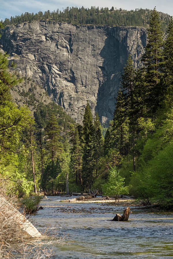 Merced River Yosemite Valley #2 Photograph by David L Moore