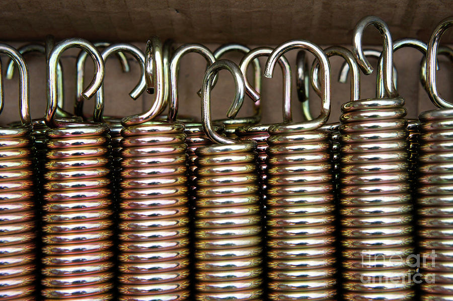 Metal springs  #2 Photograph by Tom Gowanlock