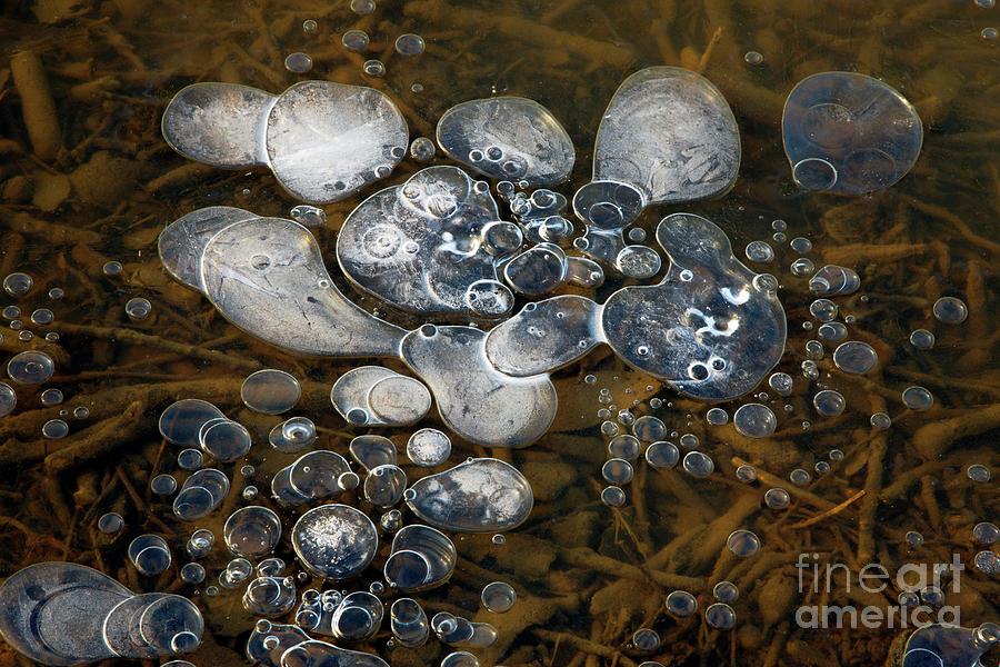 Methane Bubbles #2 Photograph by Dr Keith Wheeler/science Photo Library