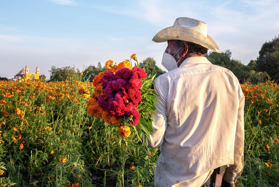 Mexican Farmer Carrying Orange And Cherry Cempasuchil Flowers Photograph by  Cavan Images - Fine Art America