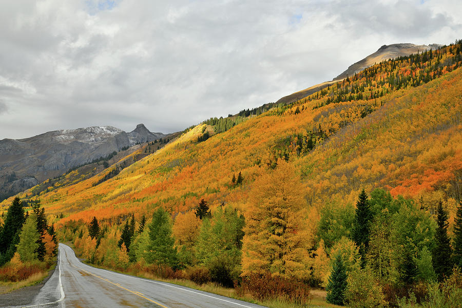 Million Dollar Highway Fall Colors #2 Photograph by Ray Mathis