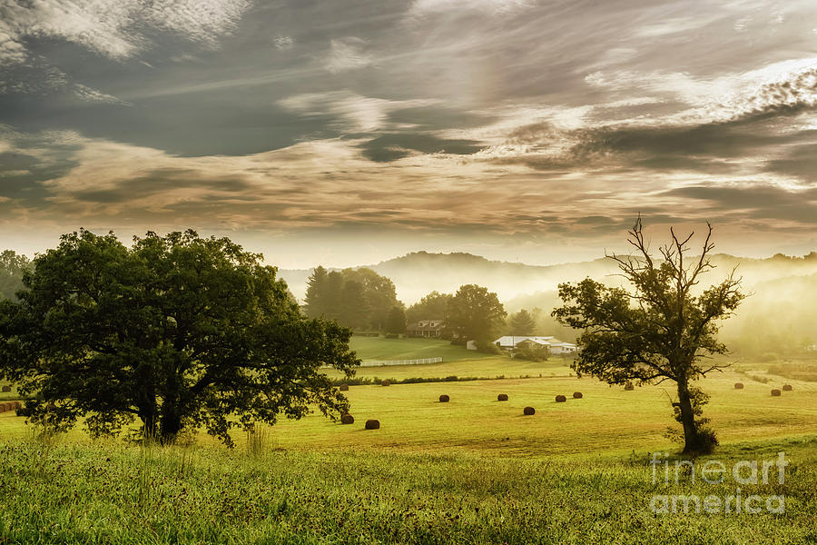 Misty Morning on the Farm #2 Photograph by Thomas R Fletcher