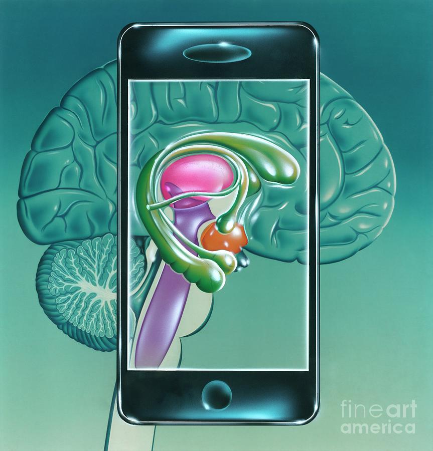 Mobile Phones And Addiction #2 Photograph by John Bavosi/science Photo Library
