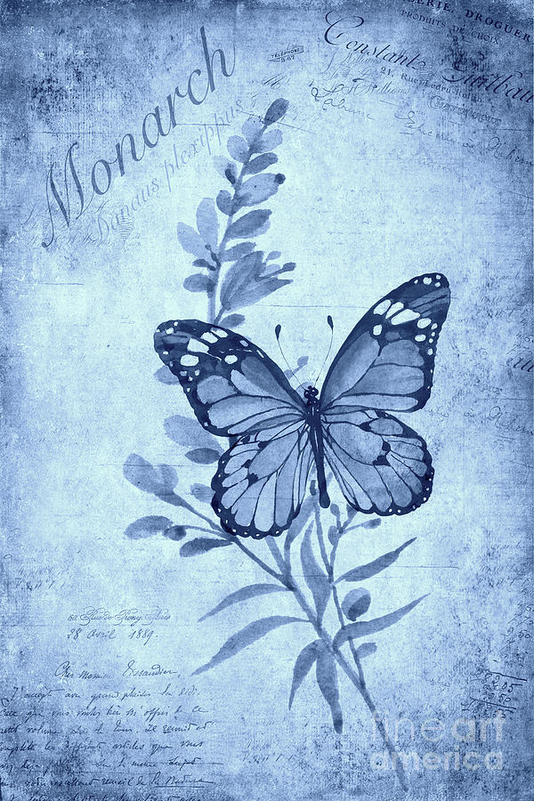 Butterfly Painting - Monarch Butterfly #3 by John Edwards