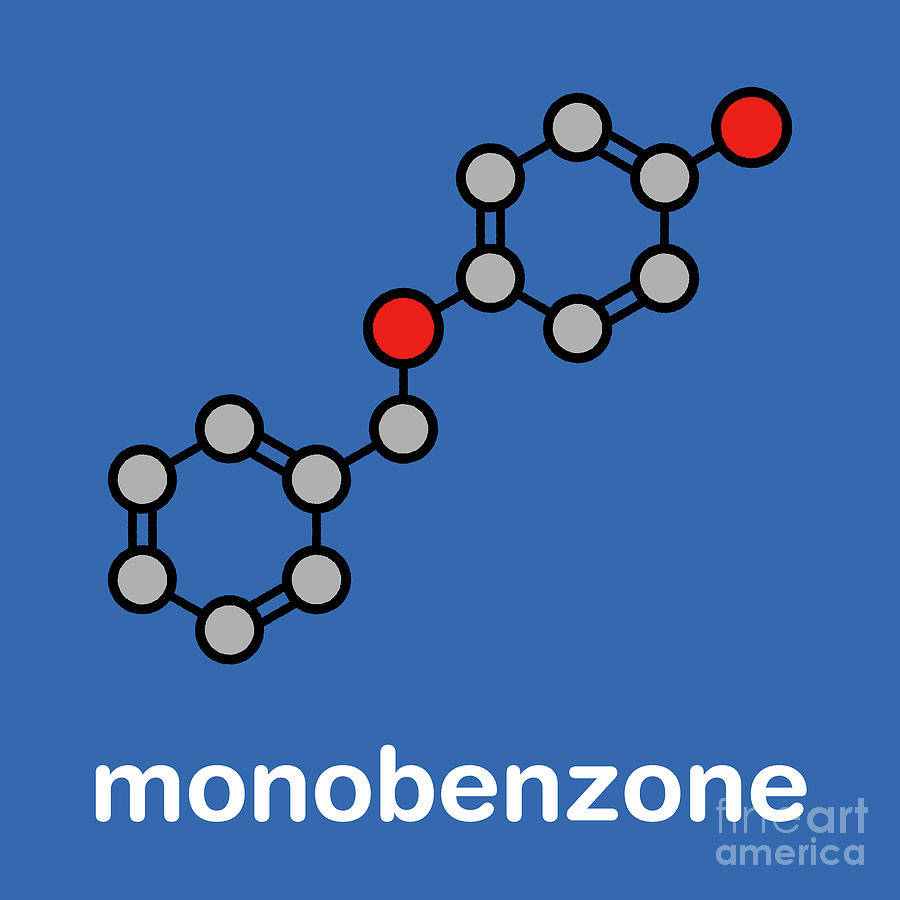 Ring Photograph - Monobenzone Drug Molecule #2 by Molekuul/science Photo Library