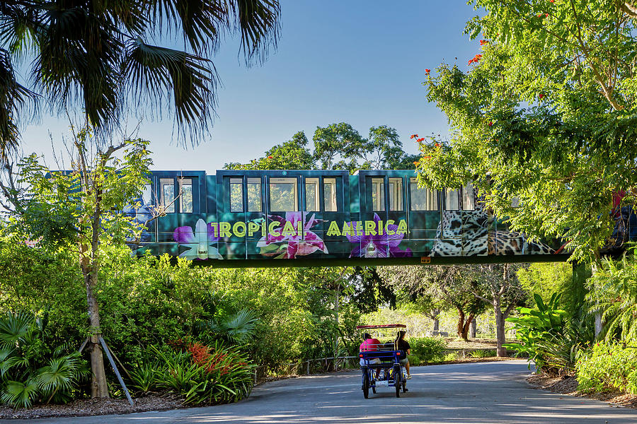 Monorail, Miami Zoo, Florida #2 Digital Art by Lumiere