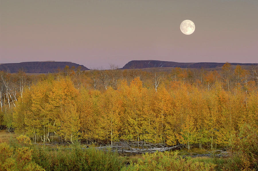 Moonrise Over Steens Mountain, Or #2 Digital Art by Heeb Photos
