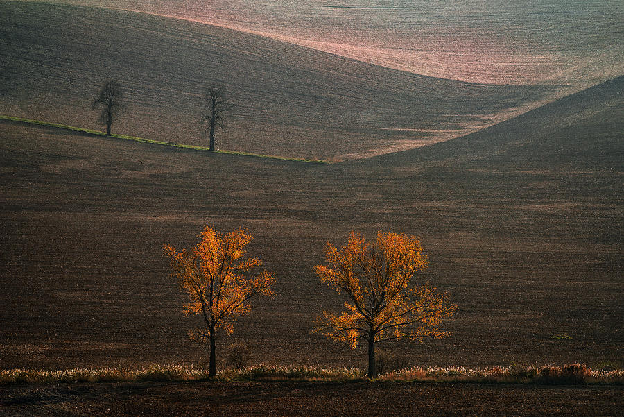 Moravia #2 Photograph by Jure Kravanja