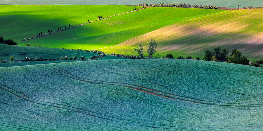 Moravian Fields #2 Photograph by Slawomir Kowalczyk