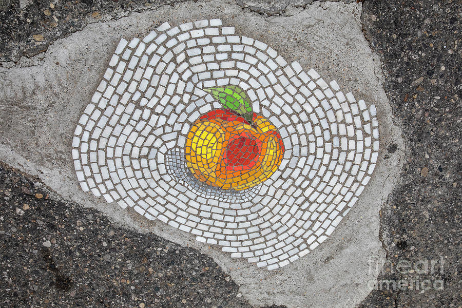 Detroit Photograph - Mosaic Pothole Patch #2 by Jim West/science Photo Library