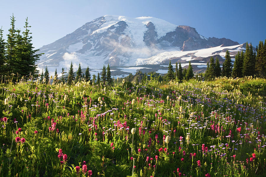 Mount Rainier Digital Art by Craig Tuttle - Fine Art America