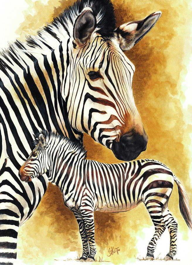 Animal Painting - Mountain Zebra #2 by Barbara Keith