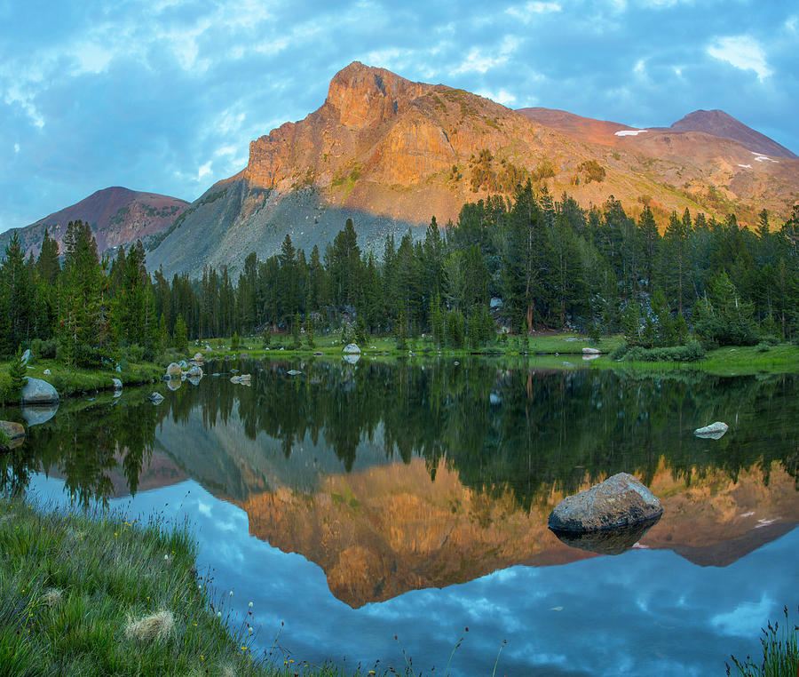 Mt. Dana Reflection, Tioga Pass, Yosemite National Park, California #2 Photograph by Tim Fitzharris