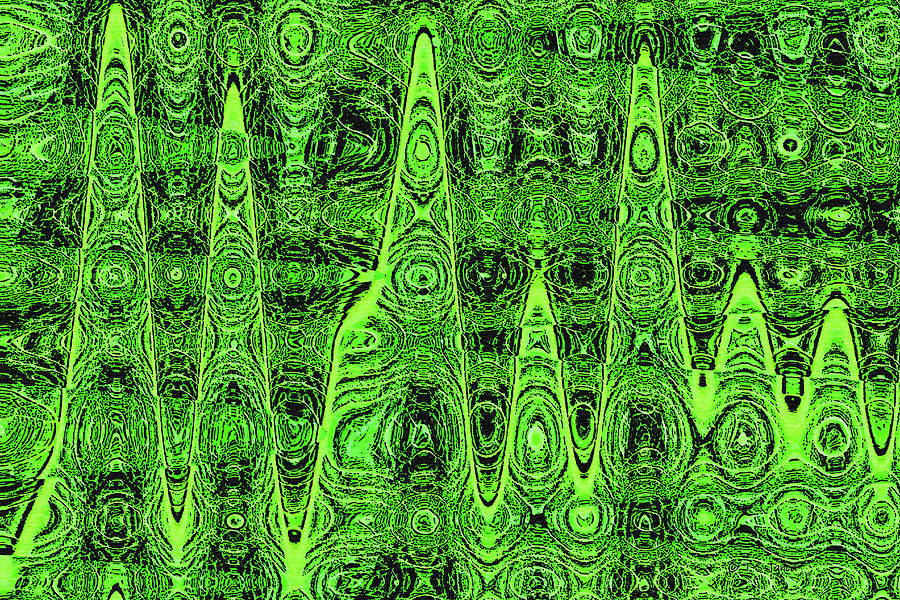 Mullein Leaf Abstract #2 Digital Art by Tom Janca