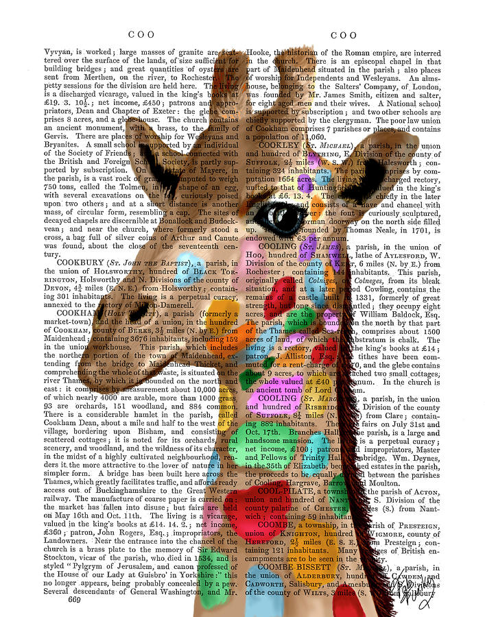 Animal Painting - Multicoloured Giraffe #2 by Fab Funky