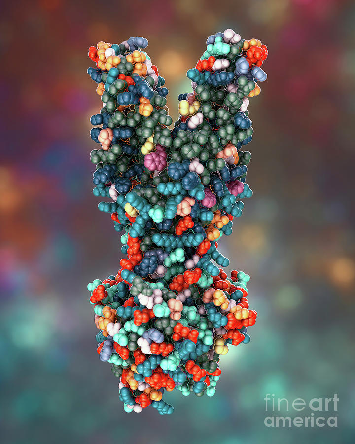 Multidrug Transporter Molecule #2 Photograph by Kateryna Kon/science Photo Library