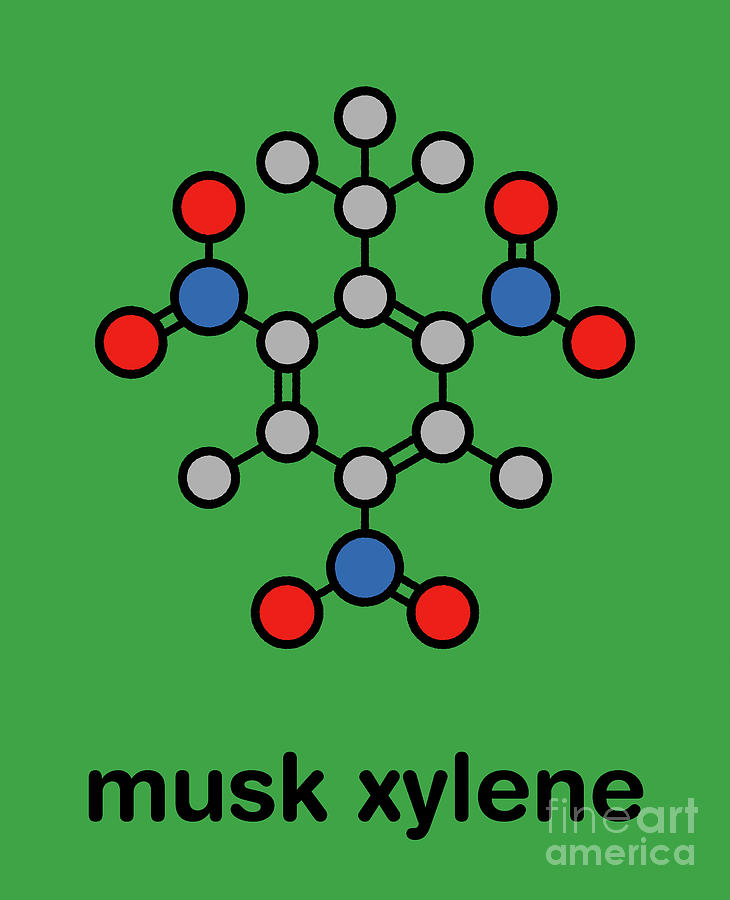 Musk Xylene Molecule Photograph By Molekuul Science Photo Library