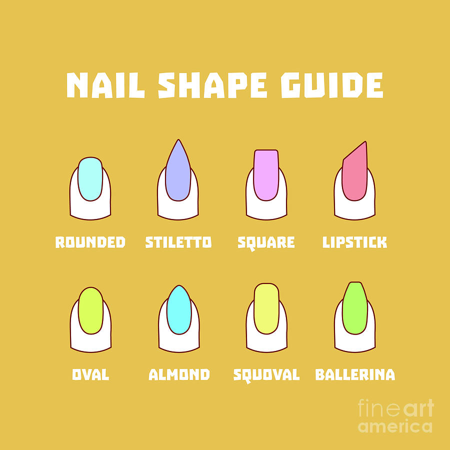 Dictionail - A guide to nail shapes and their names. : r/coolguides