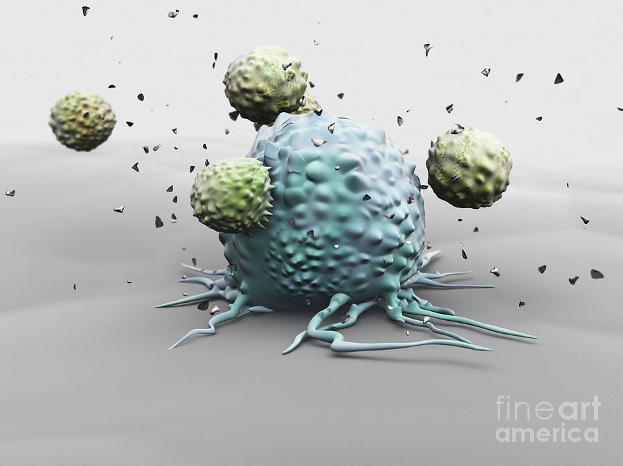 Natural killer cells cancer