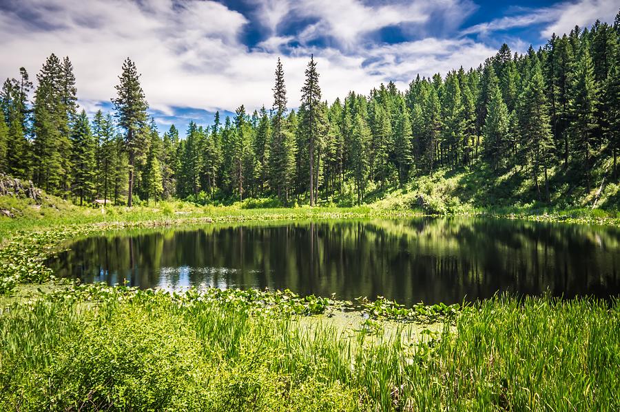 Nature Scenics Around Spokane River Washington #2 Photograph by Alex Grichenko