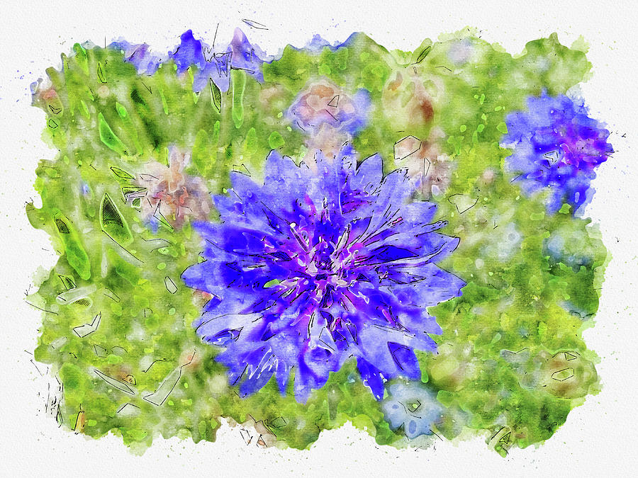 Nature #watercolor #sketch #nature #blue #2 Digital Art by TintoDesigns