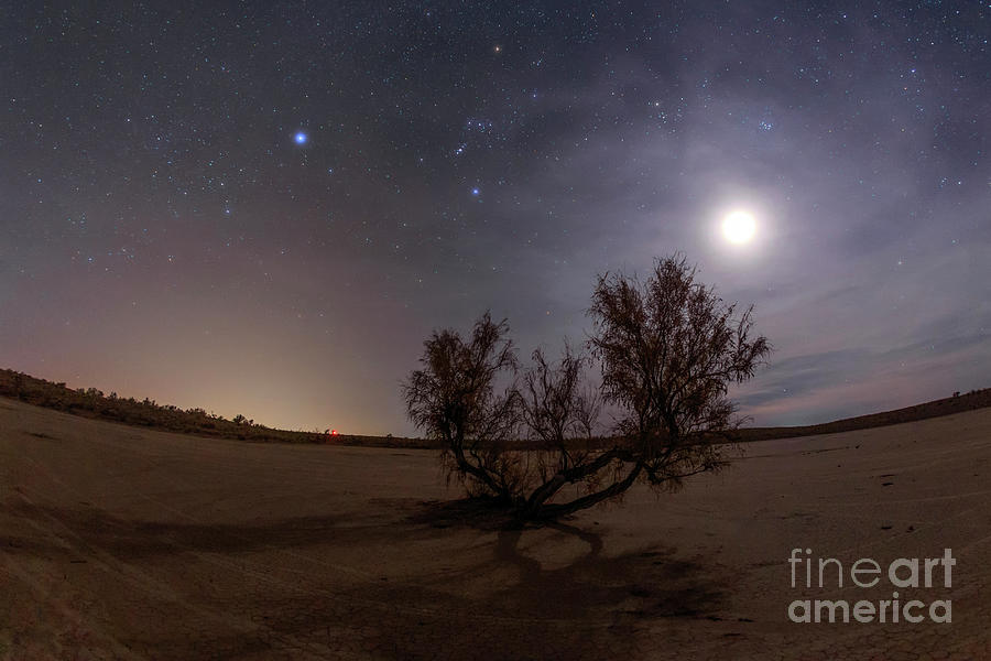 Night Sky Over Desert #2 Photograph by Amirreza Kamkar / Science Photo Library